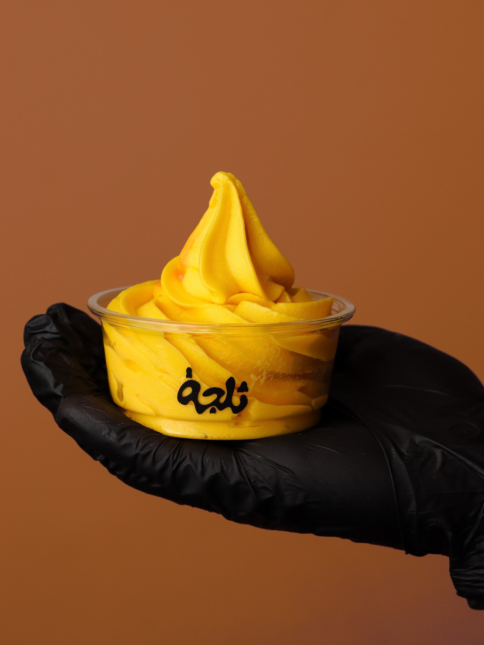 Mango icecream (small size)