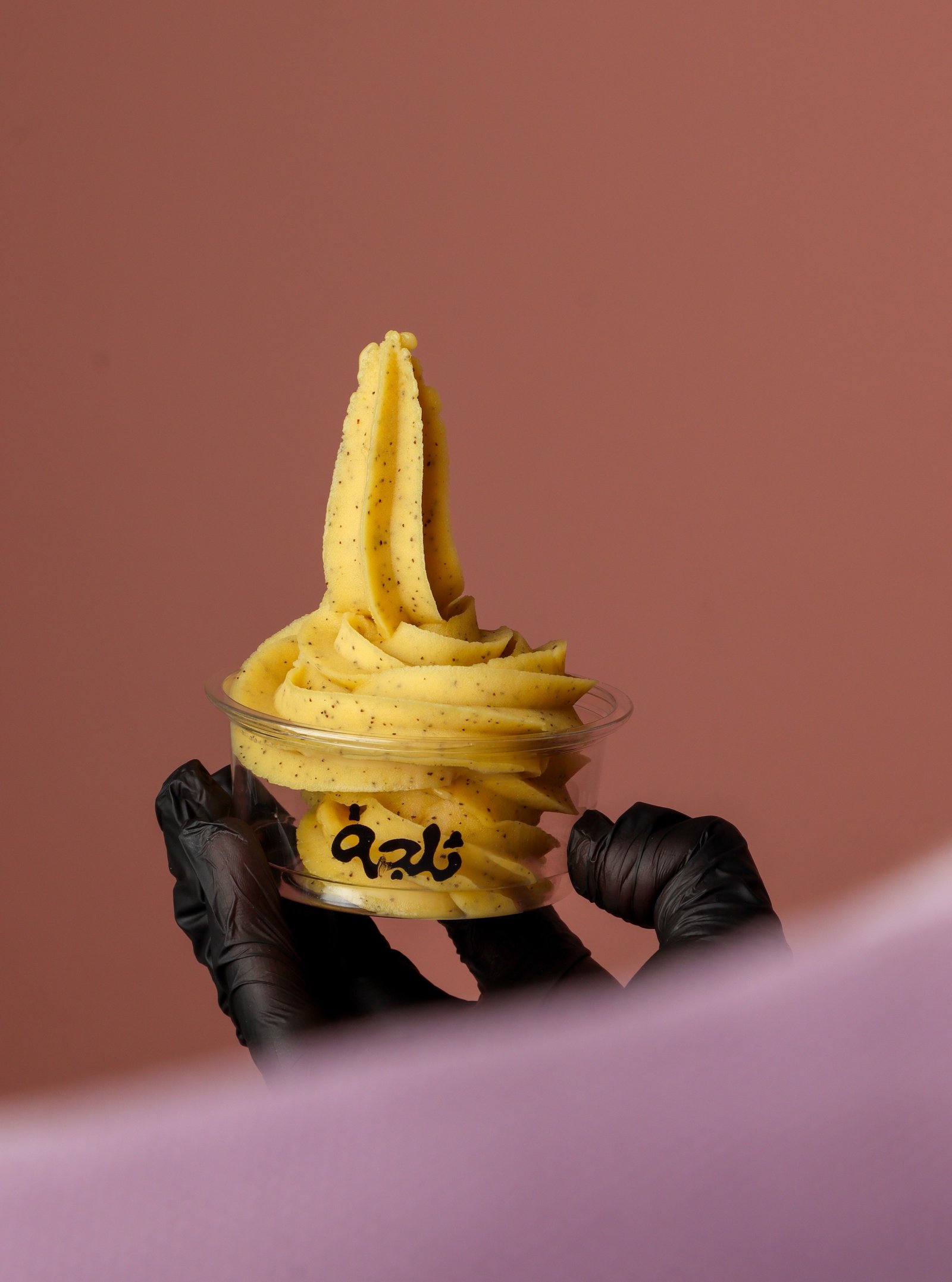 Chocolate Iceceam (med size)