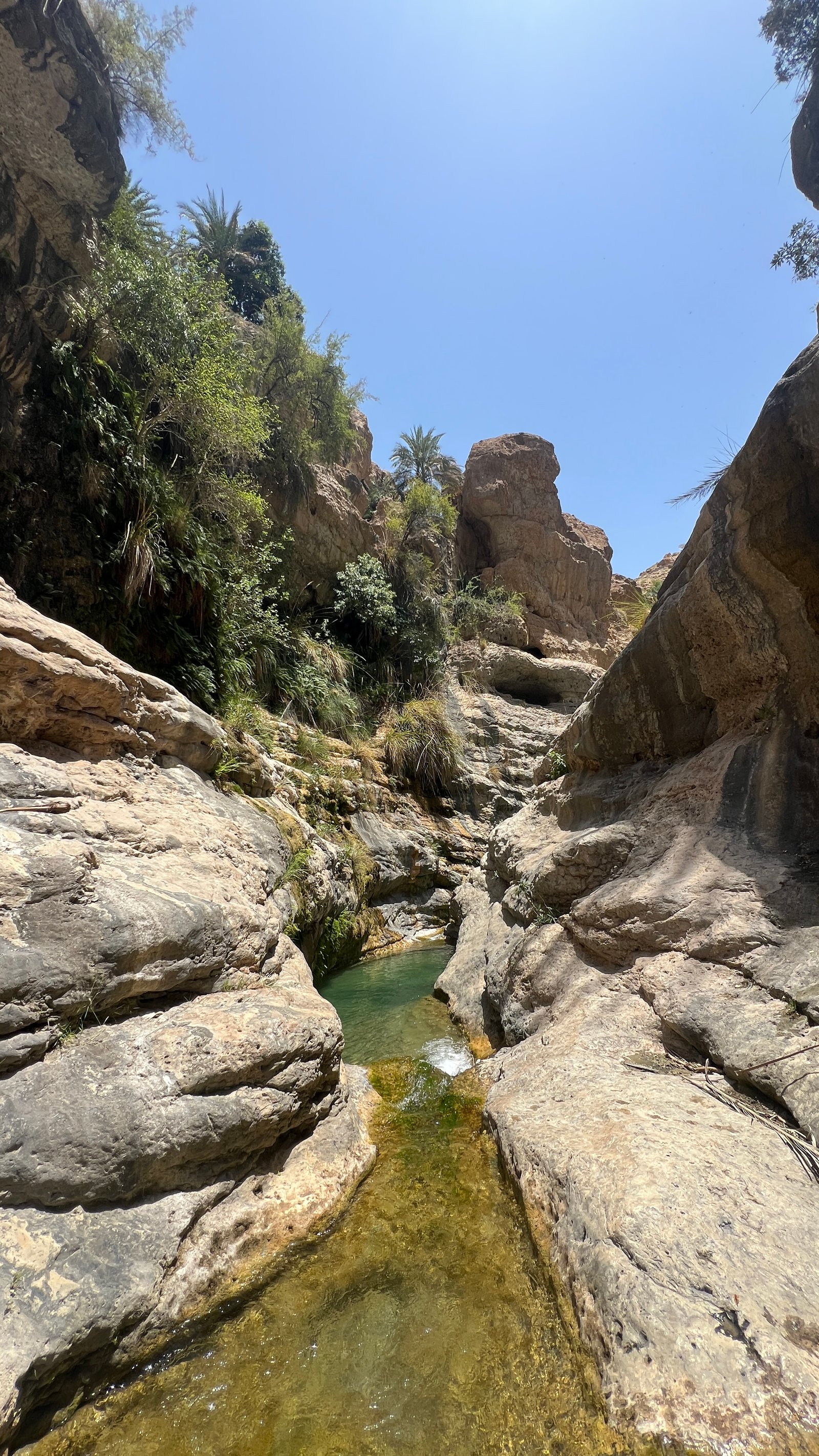 wadi Tiwi