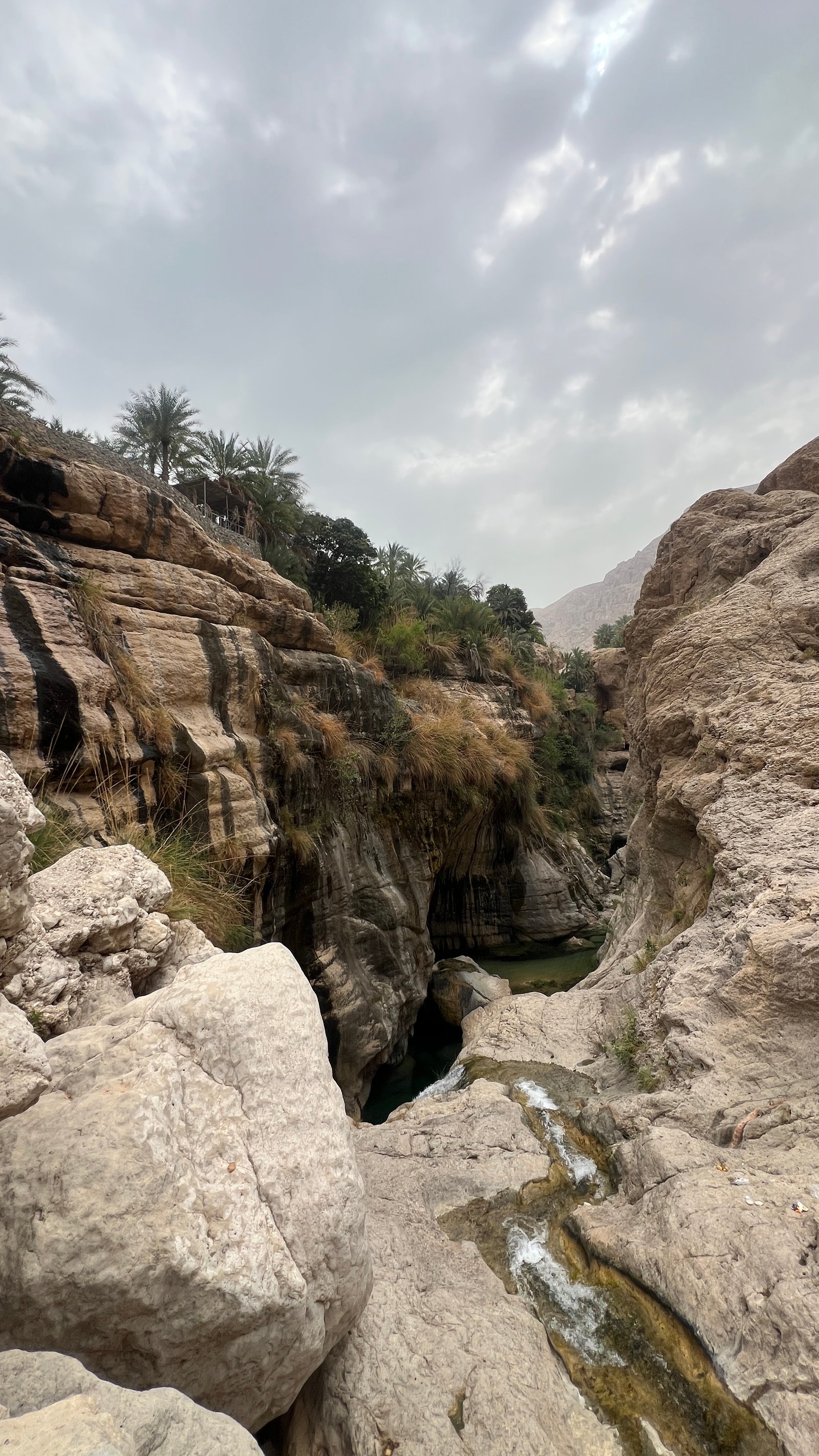 wadi Tiwi