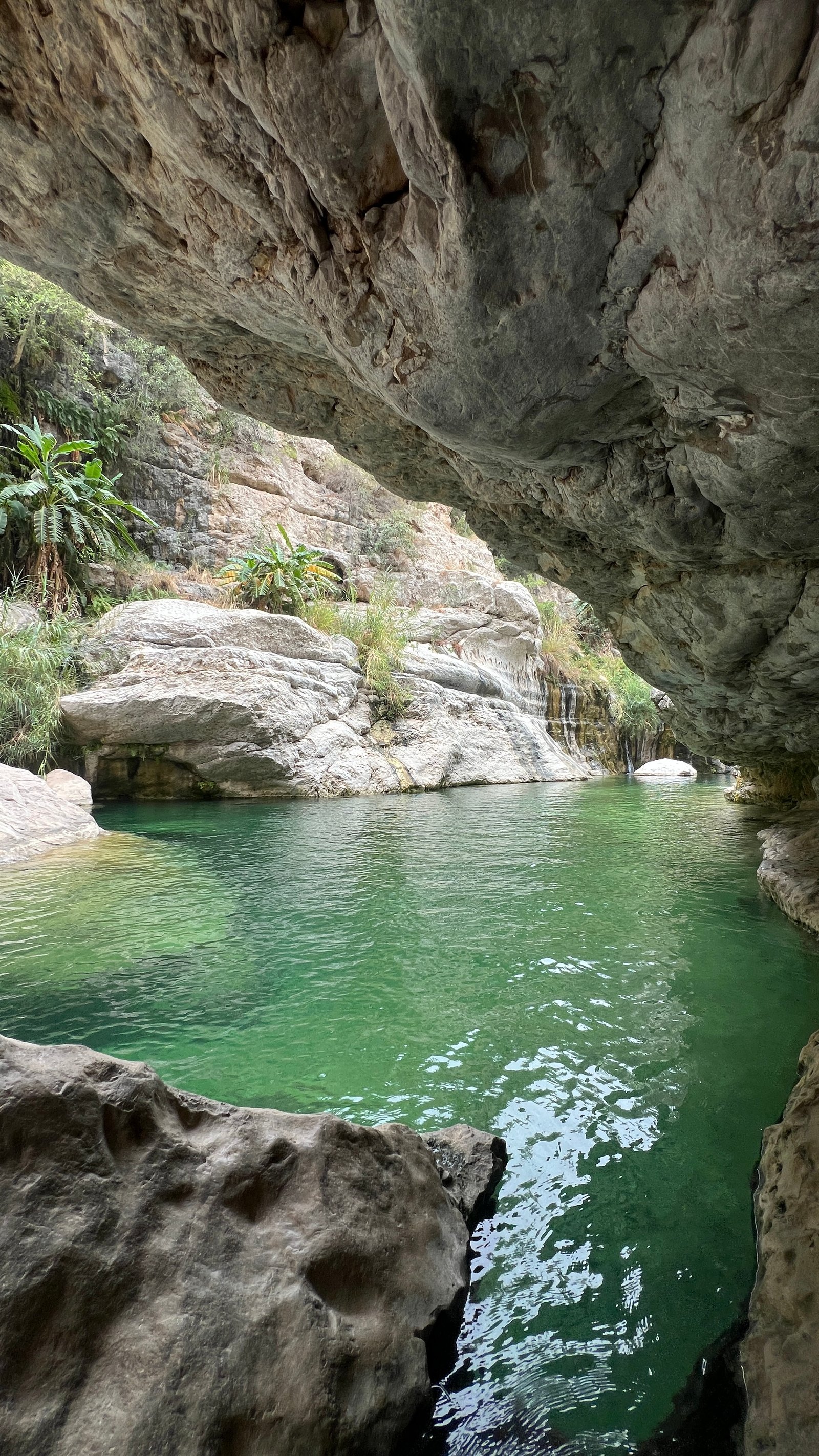 wadi Tiwi
