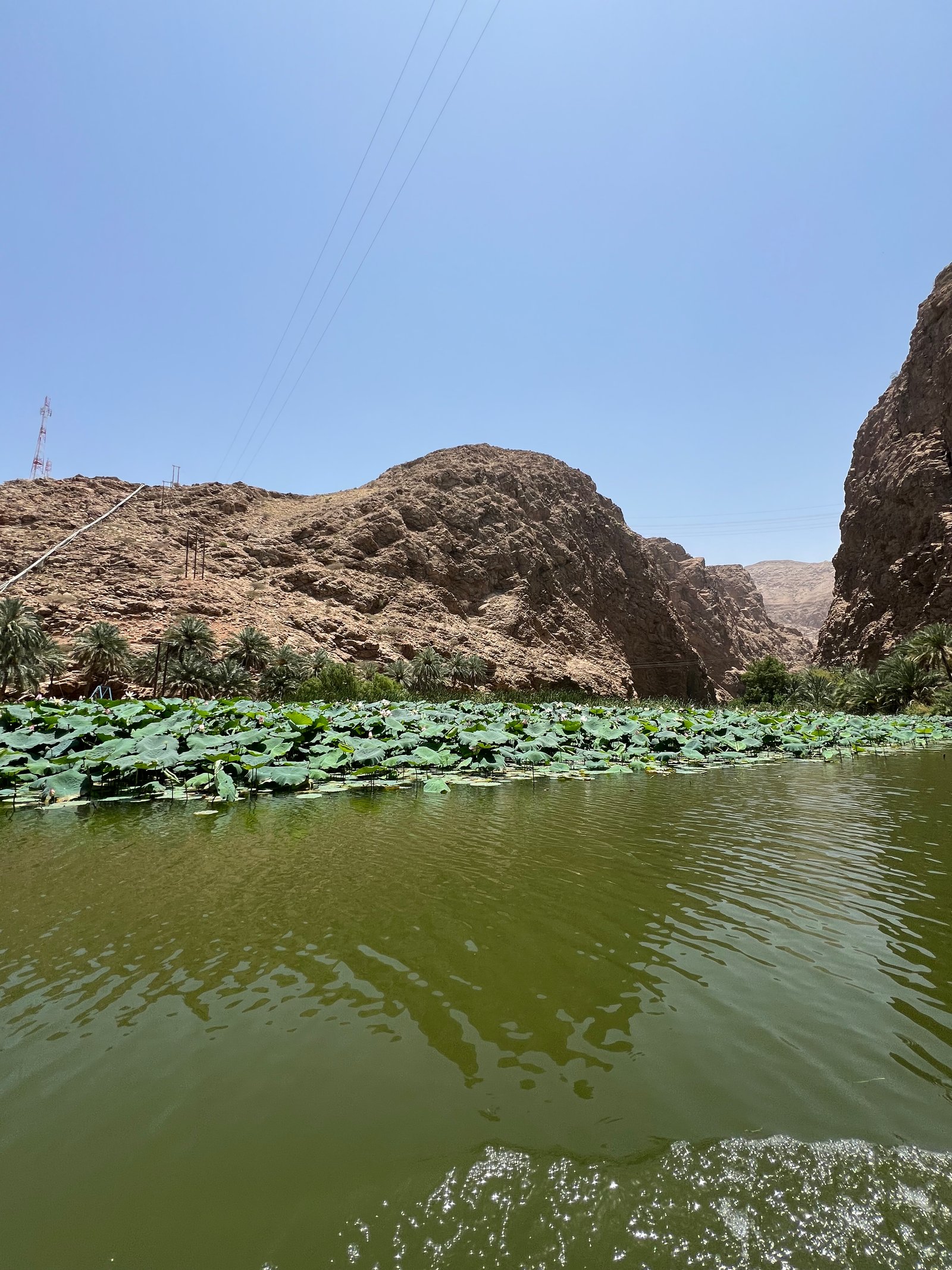 Wadi Shab
