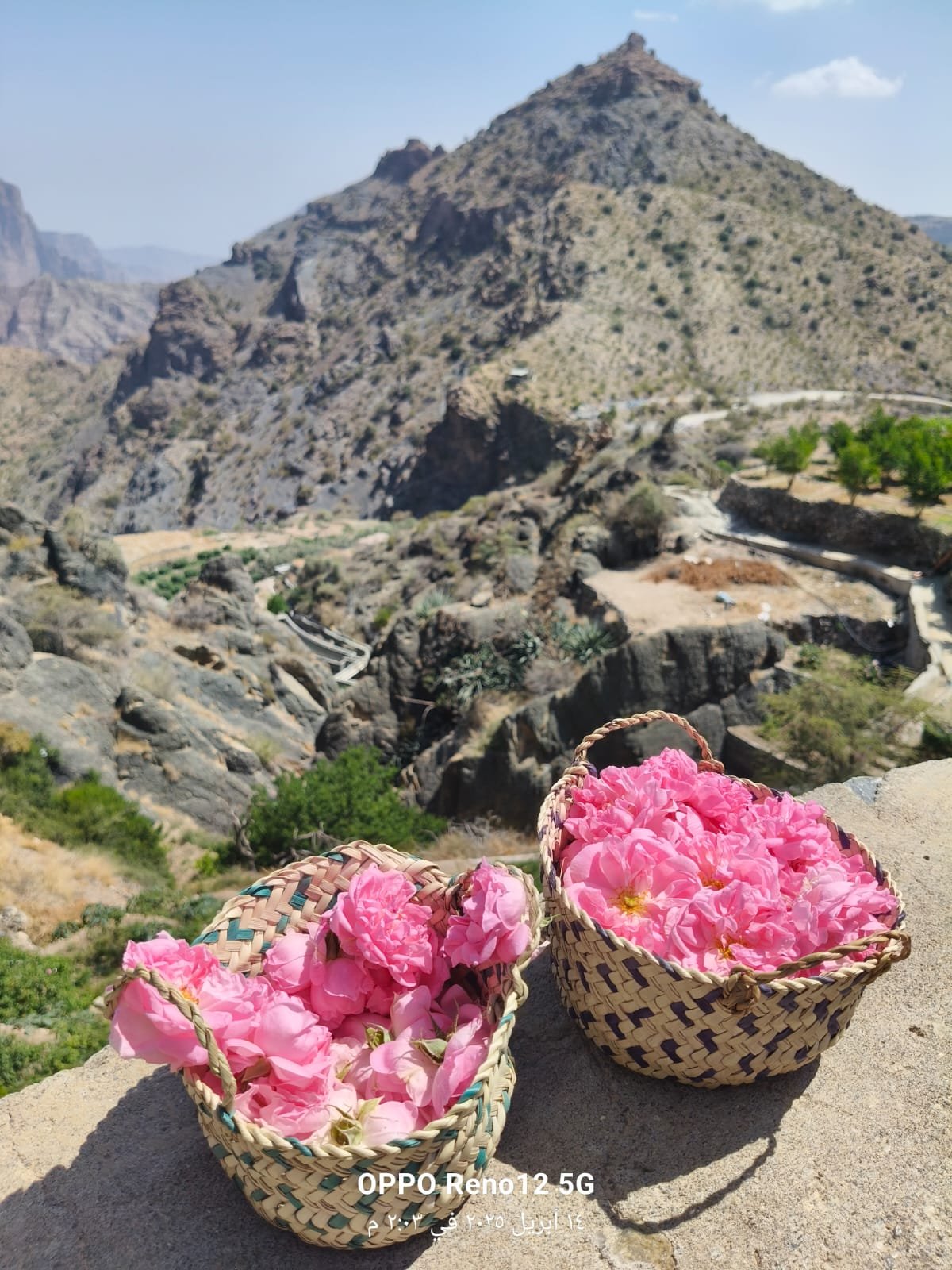 A trip to Jebel Akhdar