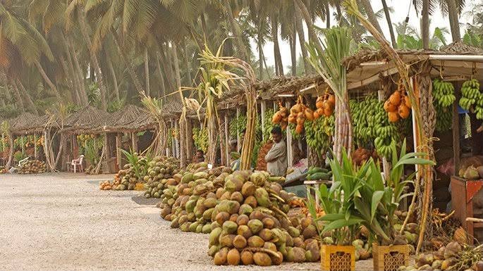 Salalah Discovery Tour – One Day