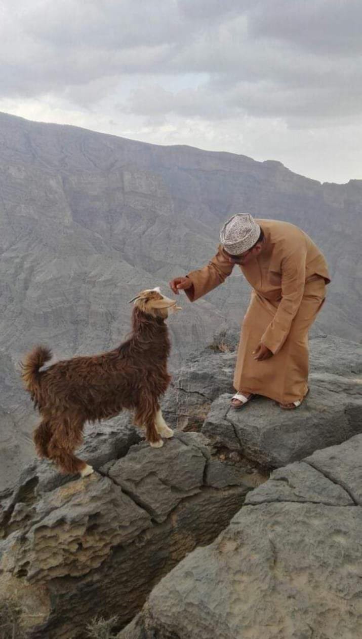 A trip to Jebel Akhdar