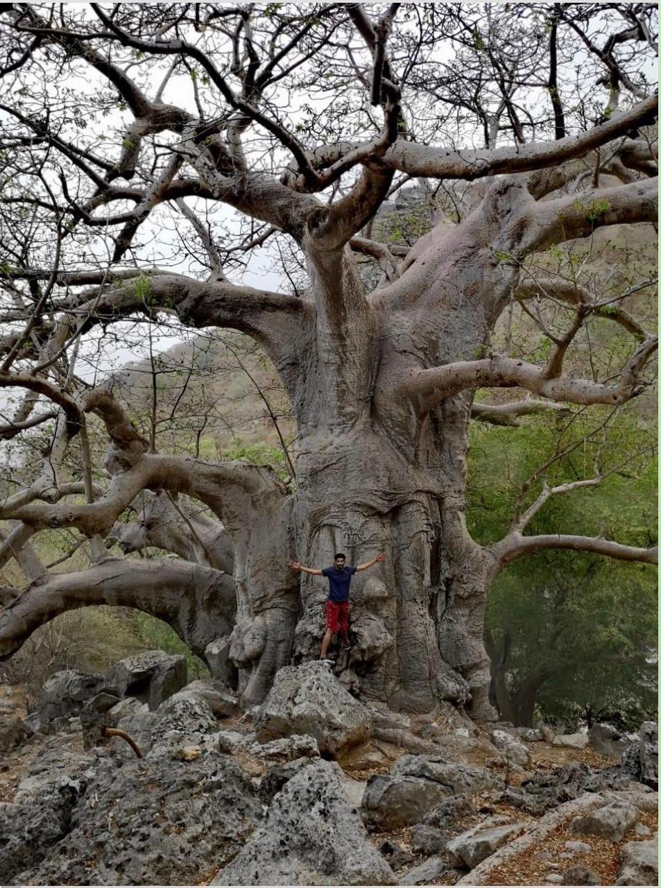 Salalah Discovery Tour – One Day